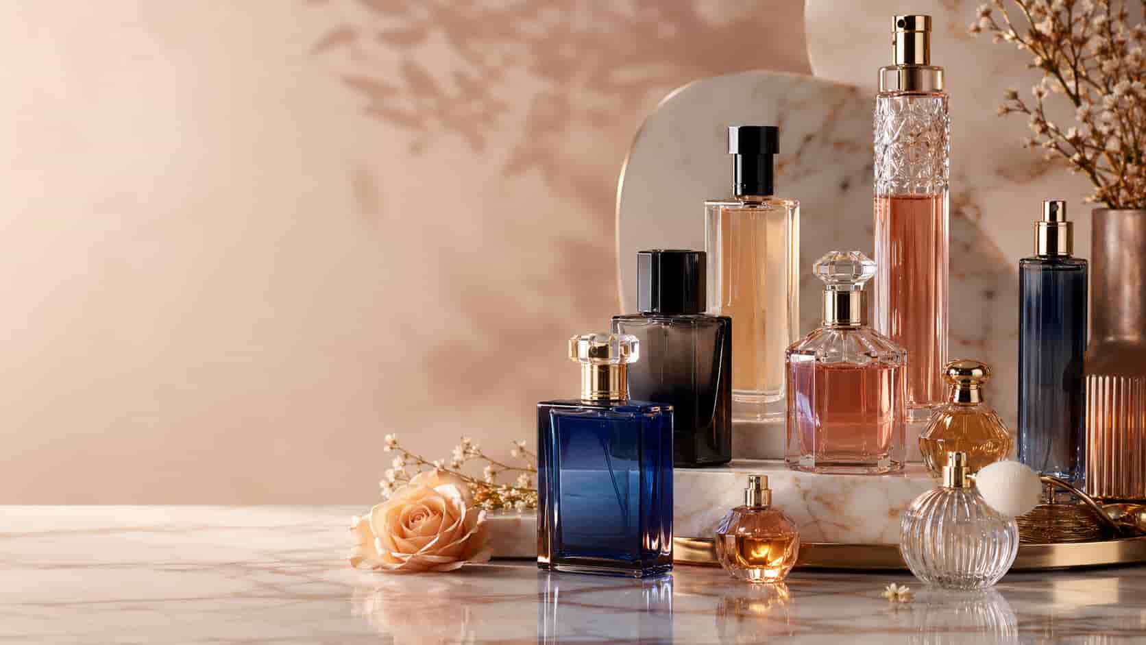 Perfumes Fragrances 08